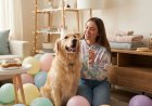Viral "Pet Humanization": 9 Surprising Reasons Gen Z Is Spending Big on Pet Birthdays & Luxury Spa Treatments