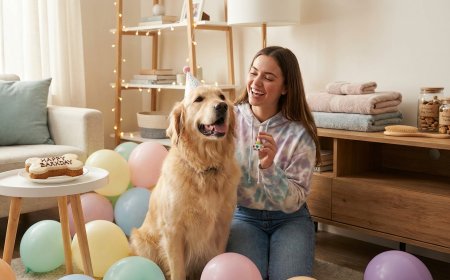 Viral "Pet Humanization": 9 Surprising Reasons Gen Z Is Spending Big on Pet Birthdays & Luxury Spa Treatments