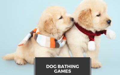 Dog Bathing Games Tips and Tricks to make your parent life easier